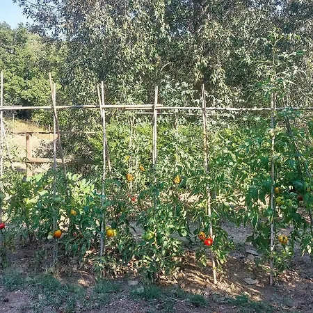 Belle Maison De 2 à Massa